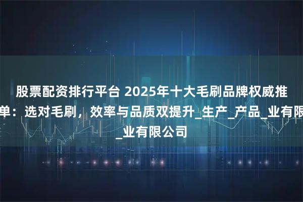 股票配资排行平台 2025年十大毛刷品牌权威推荐榜单:选对毛刷,效率与品质双提升_生产_产品_业有限公司