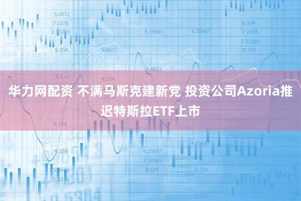 华力网配资 不满马斯克建新党 投资公司Azoria推迟特斯拉ETF上市