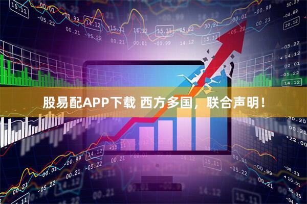 股易配APP下载 西方多国,联合声明!