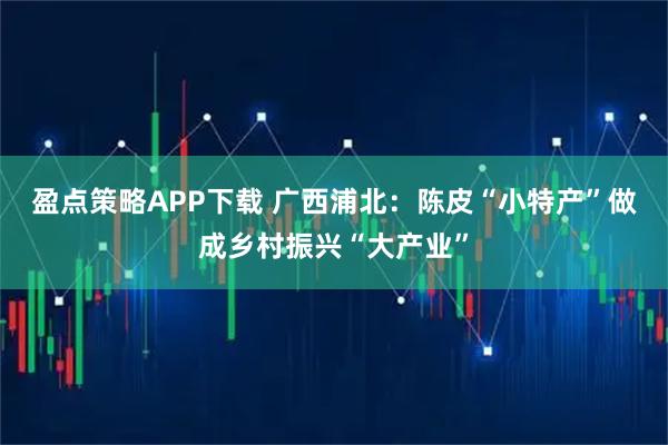 盈点策略APP下载 广西浦北：陈皮“小特产”做成乡村振兴“大产业”