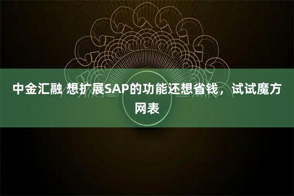 中金汇融 想扩展SAP的功能还想省钱，试试魔方网表