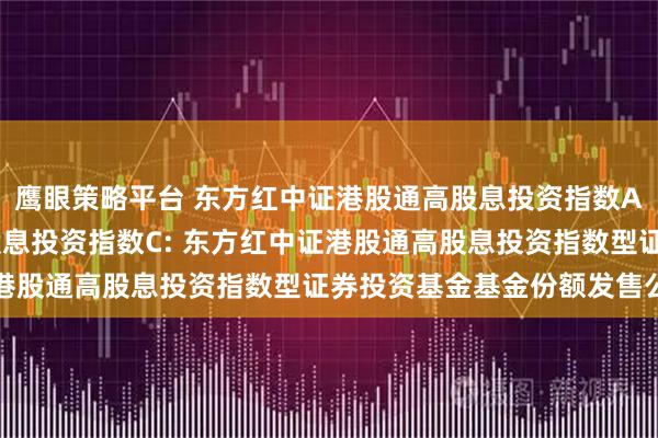 鹰眼策略平台 东方红中证港股通高股息投资指数A,东方红中证港股通高股息投资指数C: 东方红中证港股通高股息投资指数型证券投资基金基金份额发售公告