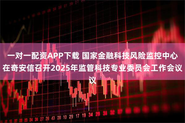 一对一配资APP下载 国家金融科技风险监控中心在奇安信召开2025年监管科技专业委员会工作会议