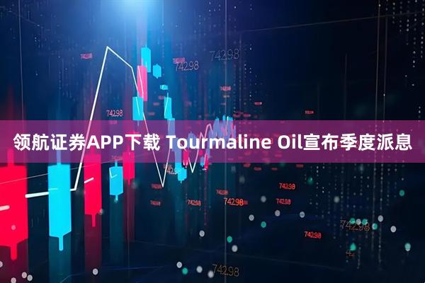 领航证券APP下载 Tourmaline Oil宣布季度派息